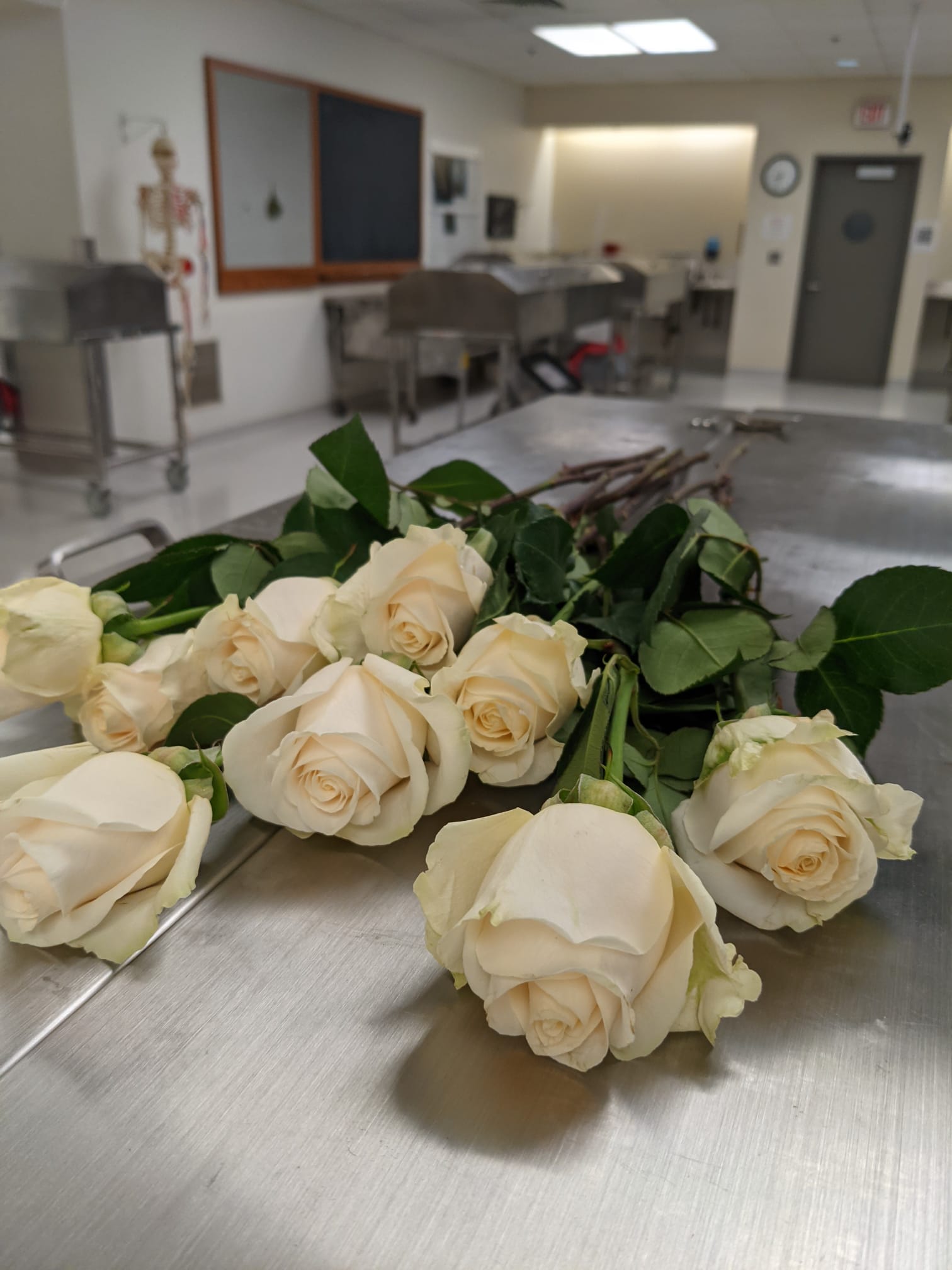 White roses laid on anatomy lab bay